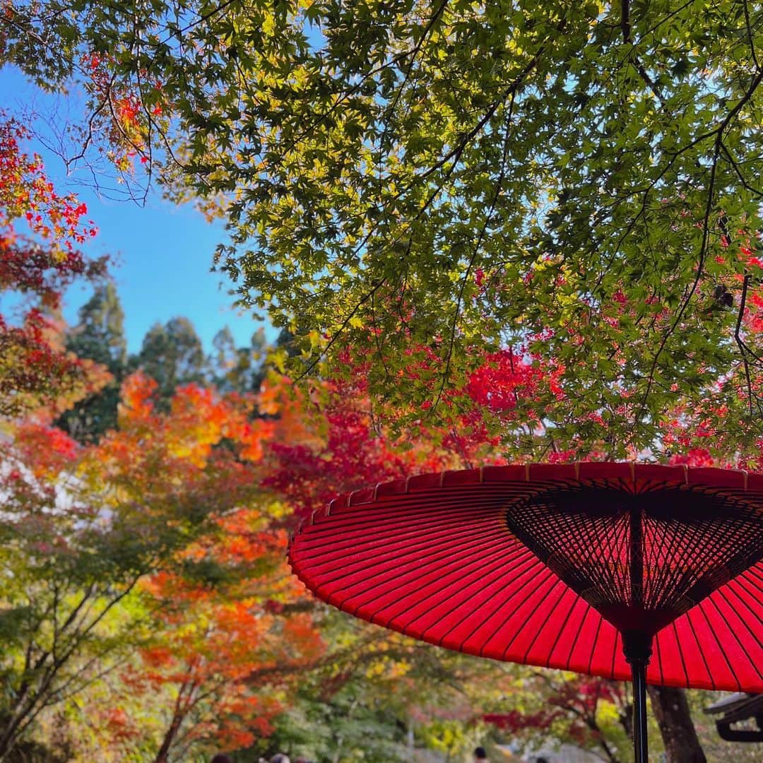 Mameさんのインスタグラム写真 - (MameInstagram)「🍁 #京都 #紅葉 #三千院」11月3日 17時29分 - ma3me3zo3