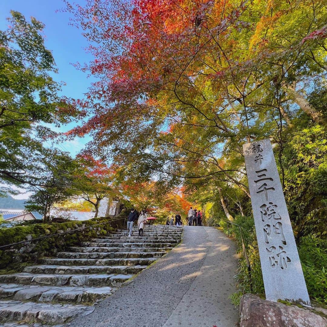 Mameさんのインスタグラム写真 - (MameInstagram)「🍁 #京都 #紅葉 #三千院」11月3日 17時29分 - ma3me3zo3