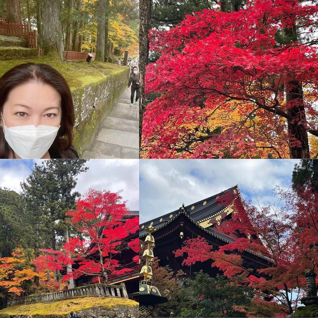 岡安弥生のインスタグラム：「仕事しながら紅葉に目を奪われる😍🍁✨#紅葉#綺麗#日光東照宮#混雑#リポート#nikko」