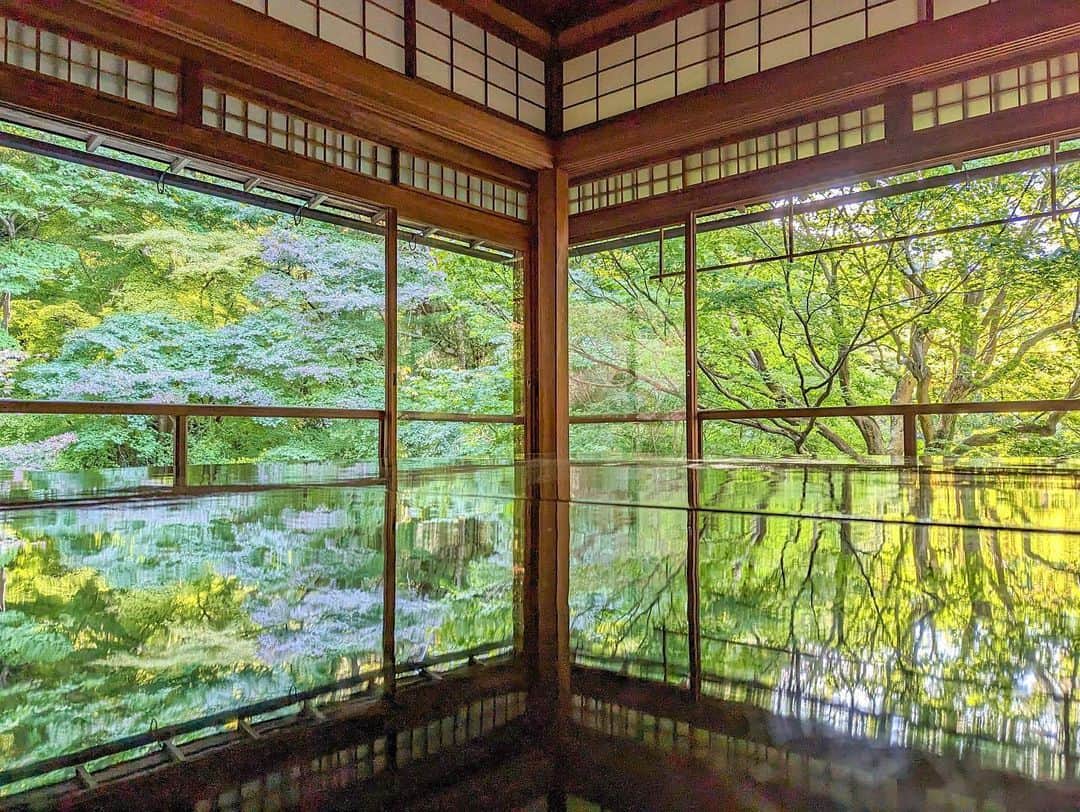 石井里奈さんのインスタグラム写真 - (石井里奈Instagram)「先週末のマラソンの前は京都へ。 久々に瑠璃光院に行ってきました✨やっぱり京都で一番好きな場所かも。 本当に綺麗だった🫶💕 . ほんのり少し紅葉も始まってたよ✨これから11月はさらに見頃なんだろうな！ 11月からは予約必須みたいなので気をつけてね💕 . 着物は @kyotokimonorental.wargo で借りました💕レトロ柄にしてみました！ . #そうだ京都行こう #京都 #瑠璃光院 #kyoto #紅葉 #京都観光 #着物 #着物レンタル #kimono #着物女子 #visitjapan #japanesegirl」11月3日 18時40分 - ri7tin1025