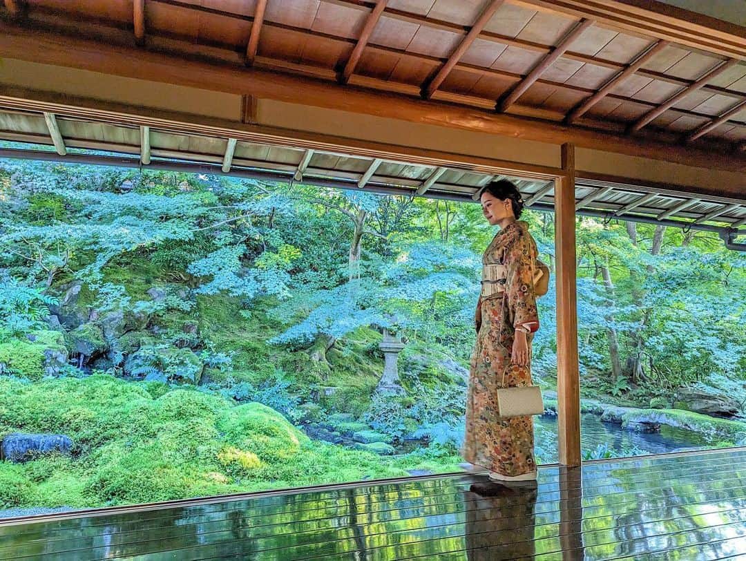 石井里奈さんのインスタグラム写真 - (石井里奈Instagram)「先週末のマラソンの前は京都へ。 久々に瑠璃光院に行ってきました✨やっぱり京都で一番好きな場所かも。 本当に綺麗だった🫶💕 . ほんのり少し紅葉も始まってたよ✨これから11月はさらに見頃なんだろうな！ 11月からは予約必須みたいなので気をつけてね💕 . 着物は @kyotokimonorental.wargo で借りました💕レトロ柄にしてみました！ . #そうだ京都行こう #京都 #瑠璃光院 #kyoto #紅葉 #京都観光 #着物 #着物レンタル #kimono #着物女子 #visitjapan #japanesegirl」11月3日 18時40分 - ri7tin1025