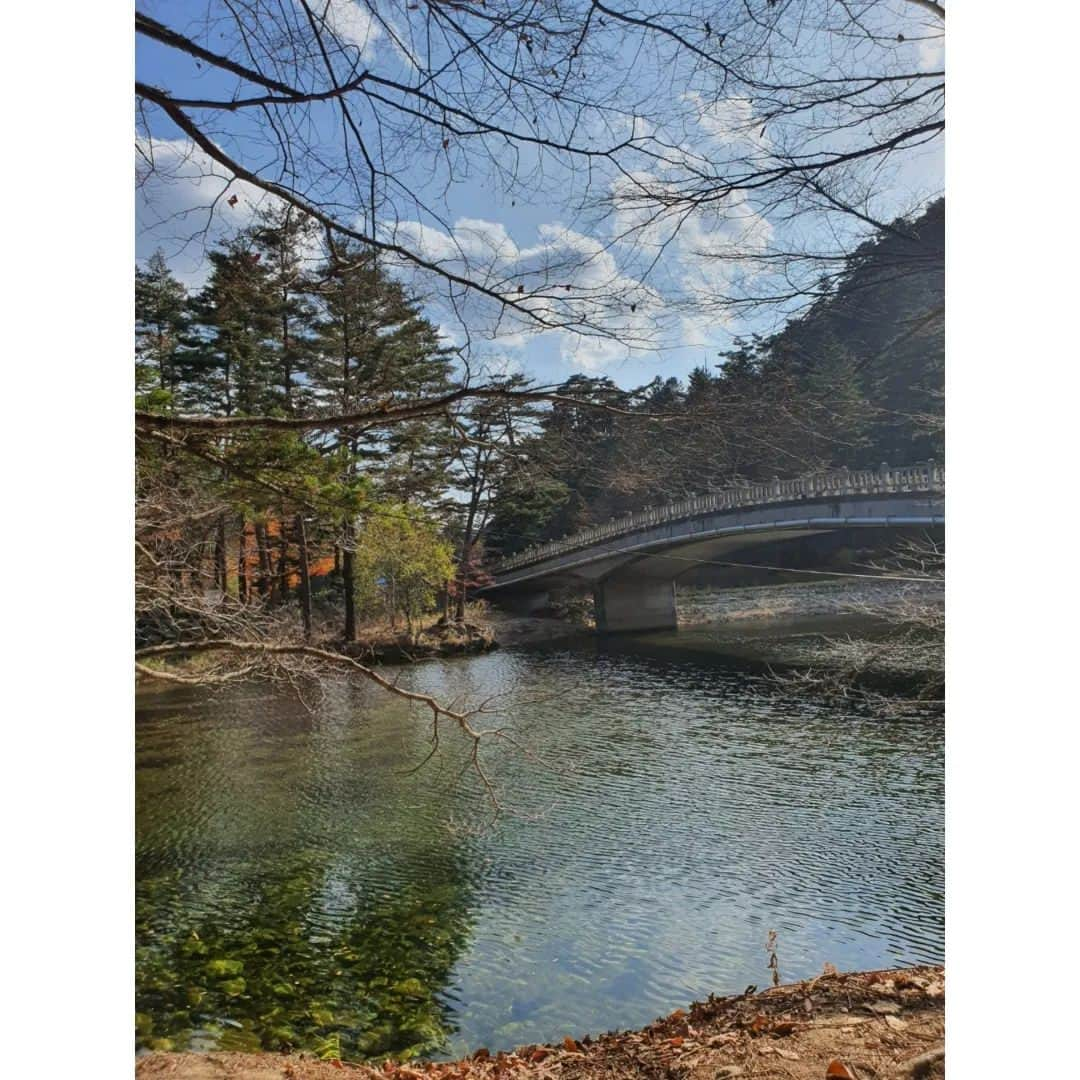 張藝娜さんのインスタグラム写真 - (張藝娜Instagram)「#평창#취호가#강원도여행#오대산월정사#전나무숲길#근황   #1박2일 참 예뻤던 강원도의 가을  오랜만에 외출로 힐링 ! 😁✌️」11月3日 22時50分 - yena1213