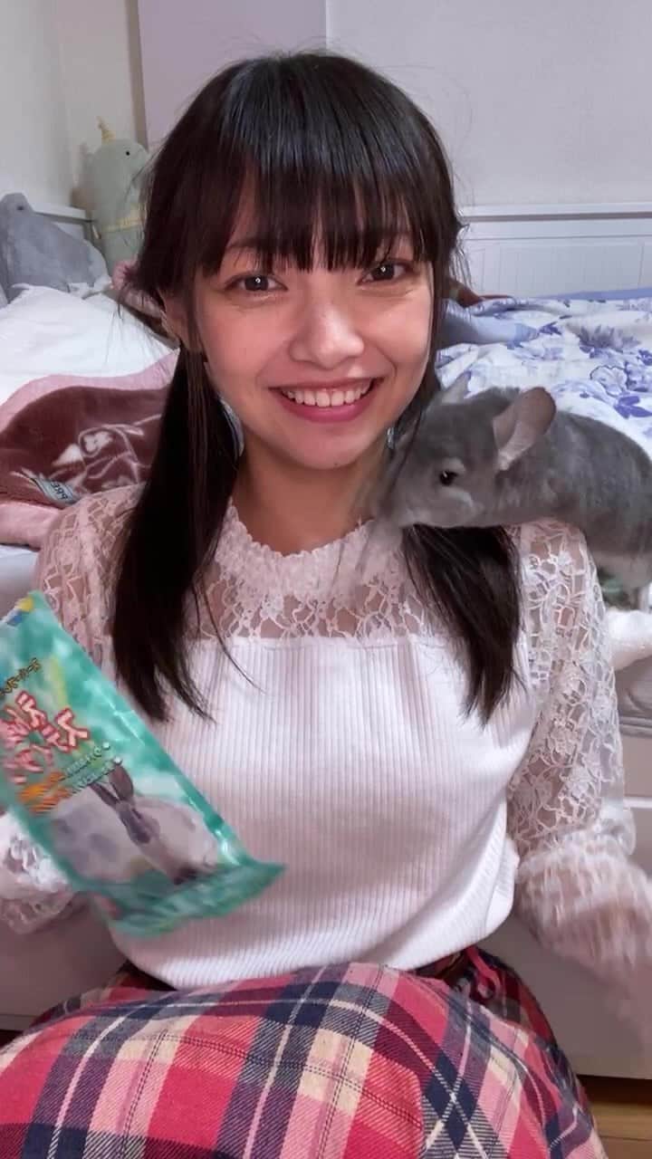 松山あおいのインスタグラム：「Instagram生配信ありがと！  11/6(日)名古屋🚗  ①RAYARD MUSIC FES☀️入場無料☀️ 会場 RAYARD Hisaya-odori Parkメディアヒロバ  出演 13:35-13:50  物販 14:00-15:00 並行C  ②単独公演⚠️ 会場 BSJ THEATER VANQUISH  ※①から徒歩6分！  入場料 2000円 ＋各1D代   予約↓目標40人！ https://tiget.net/events/211580」