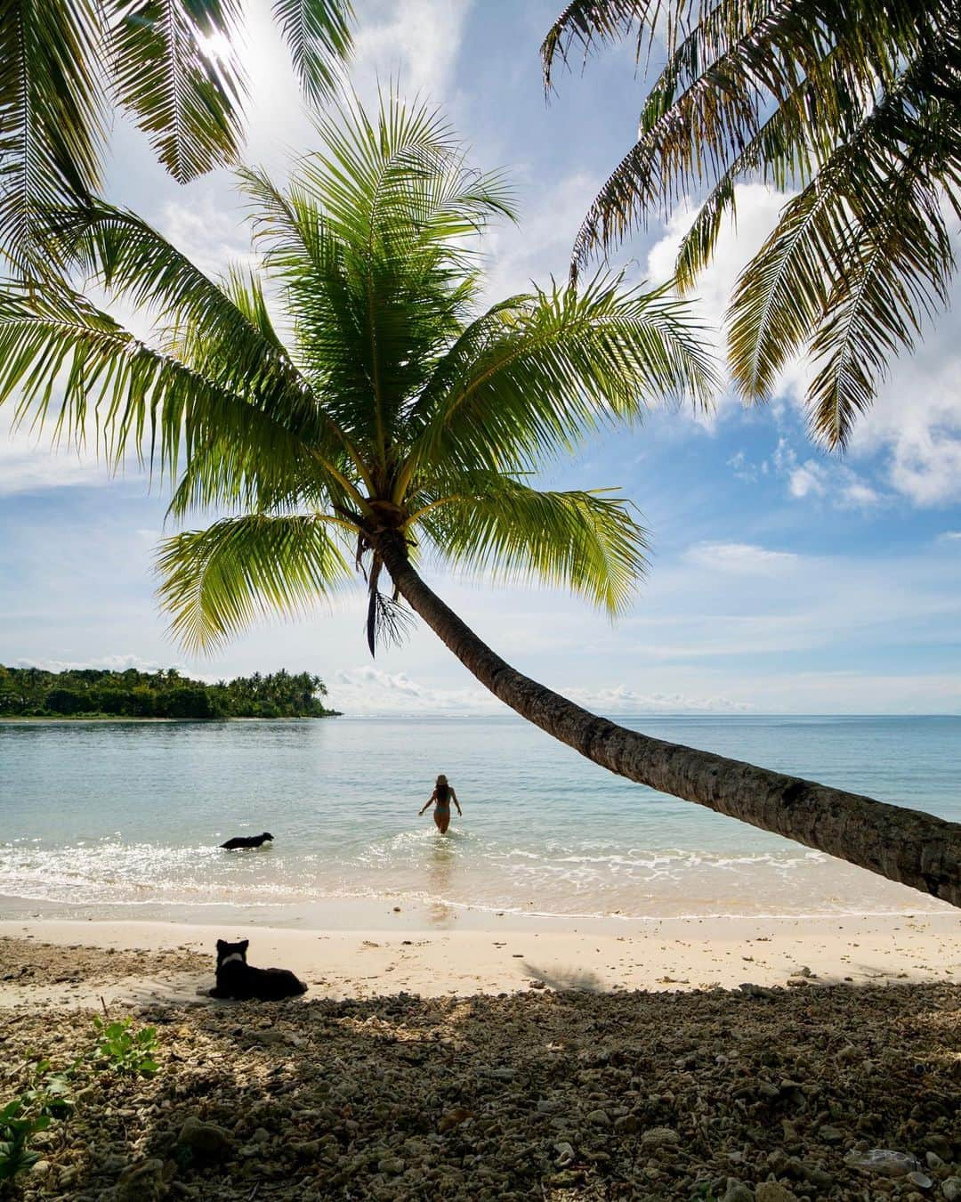 Travis Burkeさんのインスタグラム写真 - (Travis BurkeInstagram)「Dream come true!! Some of the best waves of my life as I spent the last 2 weeks living on a small private island in Indonesia with the locals and visiting my good friend @reyannemustafa who is working here.   This place and these people are all so incredibly special! I can’t thank @theshadowmentawai enough for the hospitality and giving me a glimpse of their paradise!   First photo captured by Rey 🙏🏼🙌🏼. Also a huge thanks to @sector9 for helping make this trip possible!」11月4日 1時15分 - travisburkephotography