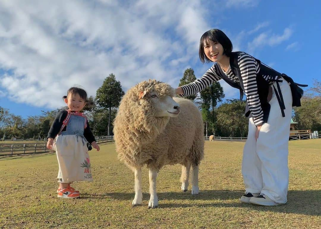 高松雪乃さんのインスタグラム写真 - (高松雪乃Instagram)「この間、羊に囲まれてきました🐏  #まかいの牧場」11月4日 9時09分 - yukinotakamatsu