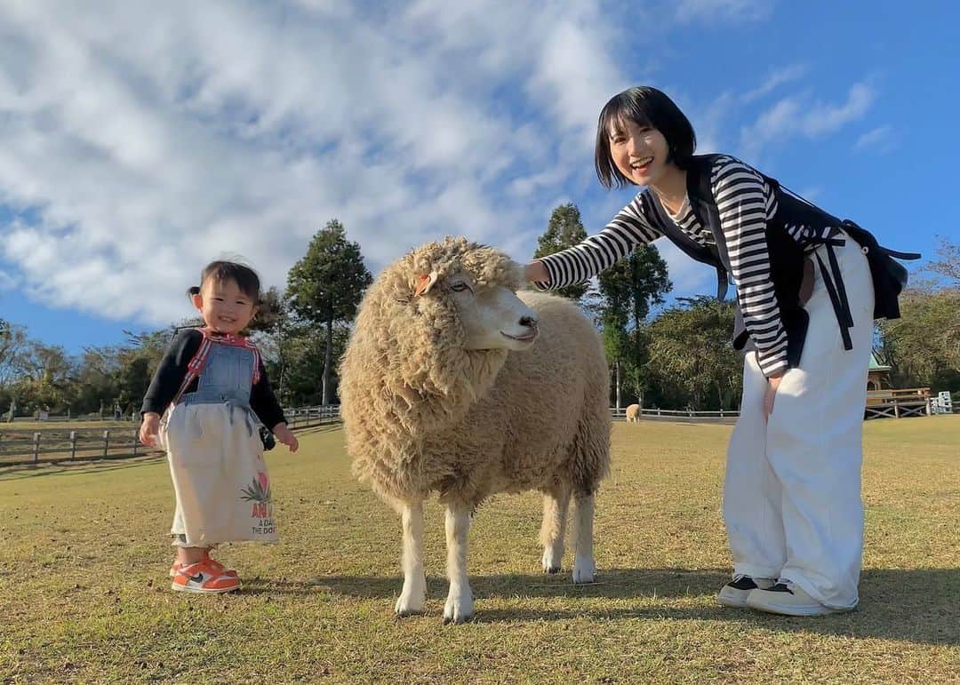 高松雪乃のインスタグラム：「この間、羊に囲まれてきました🐏  #まかいの牧場」