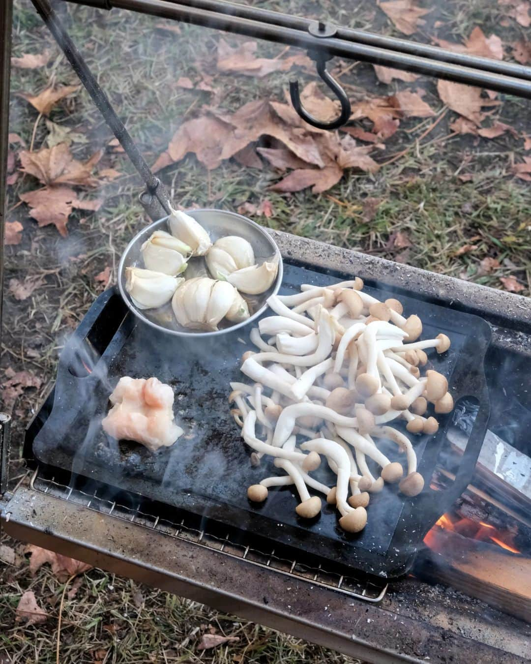 わたをさんのインスタグラム写真 - (わたをInstagram)「わたキャン  多分初めて？キャンプ場で盗難にあったのだけど、あれこれ出しっぱなしで寝ちゃうのが良くないね。しかも管理されていない無料キャンプ場で笑  砂抜きしたアサリは超便利。お酒ぶっかけて蒸し焼きしたらもう美味しいわ。 キャンプでBBQってあまりしないのだけど、今回はお取り寄せしたお肉で！やっぱりめちゃくちゃ美味しいよ。焼肉のタレと白メシ合うー！炊き込みご飯に入れ忘れたシメジも焼いたろ🙌  そろそろ紅葉が見頃だ🍁  #キャンプ #キャンプ飯 #ソロキャン #ソロキャンプ #わたキャン #Yummy #Delicious #Japan #japanesefood #camp  #solocamp #徳島 #香川 #田の浦野営場 #ムササビウイング」11月4日 12時29分 - watao.n