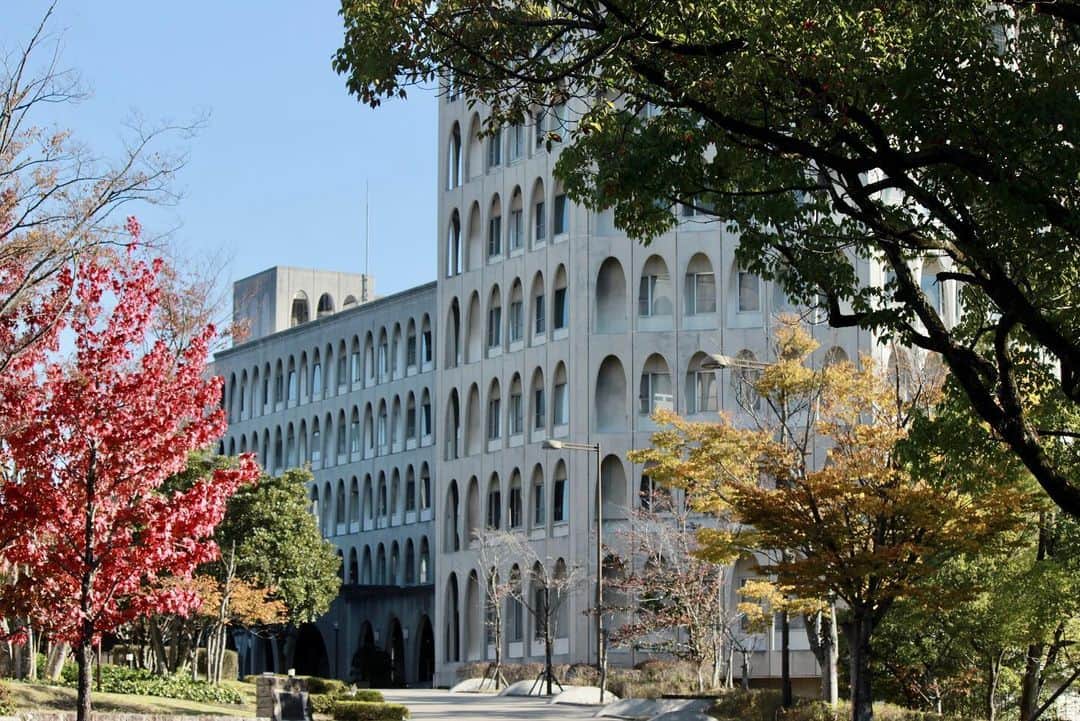 川端魁人さんのインスタグラム写真 - (川端魁人Instagram)「紅葉🍁×中京大学豊田キャンパス🎓  自然豊かなキャンパス🌲  #中京大学　#紅葉　#カメラ男子　#🍁　#📷」11月4日 14時22分 - kit_817kk