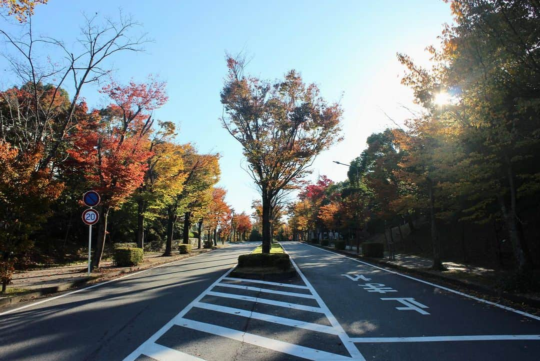 川端魁人のインスタグラム：「紅葉🍁×中京大学豊田キャンパス🎓  自然豊かなキャンパス🌲  #中京大学　#紅葉　#カメラ男子　#🍁　#📷」