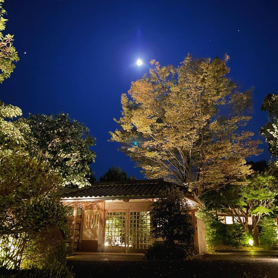 辺見えみりのグルメインスタ