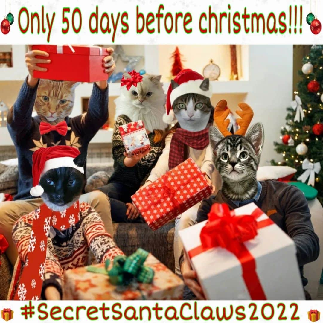 Homer Le Miaou & Nugget La Nugのインスタグラム：「The time has come again!!!😸 Did you know that there is only 50 days before catmas? Since us cats are not spoiled enough, your traditional Secret Santa Claws gift exchange is back: #SecretSantaClaws2022 🎅🙆🏻‍♀️🎅 I know you wanna be part of it so here is how to sign up for it : • Please repost this pic or tag some friends to join, you know: "the more, the merrier" hehe!😸  • Complete the registration form: the link is in my bio. Registration ends on Novembre 13th.  You'll get an email shortly after that, detailing your Secret Santa informations. • Please comment "done" under this post so there is nobody forgotten. • After that, you will have about 10 days to shop and send your presents. Make sure to send your parcel soon enough so it will arrive before christmas! (We all know how post office goes during the holidays!) ⏳🎁⏳ • Don't forget to hashtag your related pics with #SecretSantaClaws2022 so everybody can enjoy them! (It is -CLAWS, not -PAWS. The one finishing with -PAWSis for the D.O.G.S!!!🙉) • After that all you'll have to do is wait for your parcel!!! • You can also follow the other pawesome hosts:  @aarian_the_great @abbytabby50 @melissabrown2345 @kingpopothecat 💟  Have fun and don't spill the bean until the big day hehe!🎁🤫🎁 #secretsantaclaws2022」