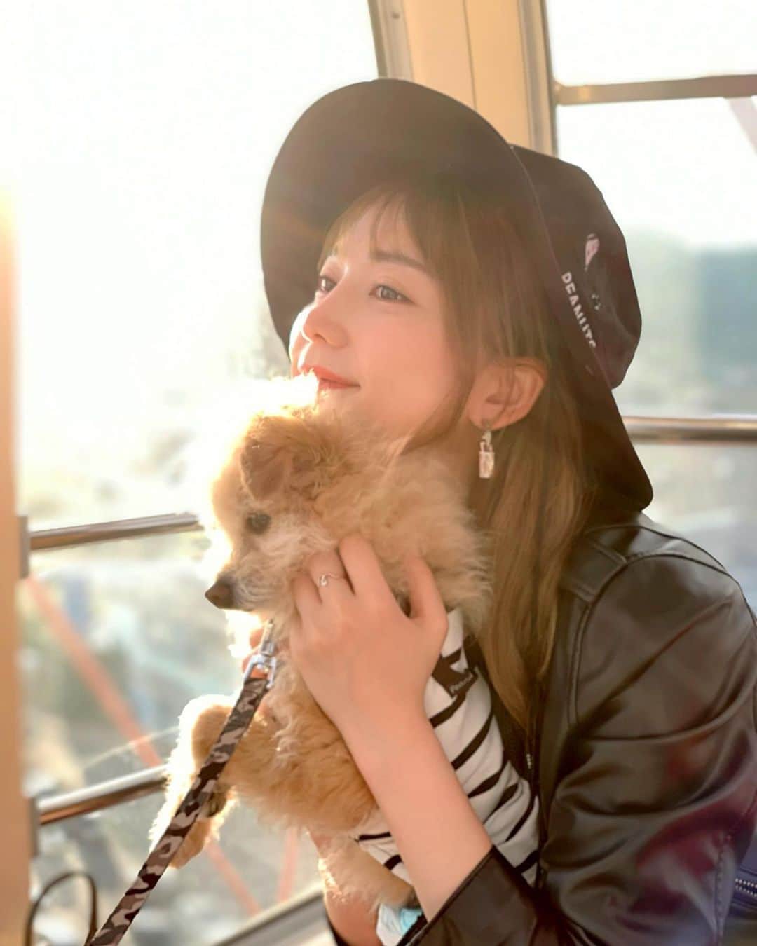 堀尾実咲のインスタグラム：「ロッたん11/3お誕生日おめでとう🐻💖  7歳になりました🫶 早いよねーーーーーーっ🥹  #愛犬 #ポメプー #お誕生日」