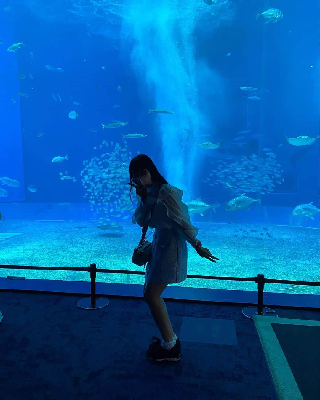 蒼井湊さんのインスタグラム写真 - (蒼井湊Instagram)「ㅤㅤㅤㅤㅤㅤㅤㅤㅤㅤㅤㅤㅤㅤㅤㅤㅤㅤㅤㅤㅤㅤㅤㅤ  美 ら 海 水 族 館 🐬 ㅤㅤㅤㅤㅤㅤㅤㅤㅤㅤㅤㅤㅤ #アイドル #あいどる  #あおみな #あおみにゃ#蒼井湊 #名古屋  #おーえすけー  #青色担当 #jk #沖縄 #美ら海水族館 #水族館」11月4日 21時40分 - osu_aomina