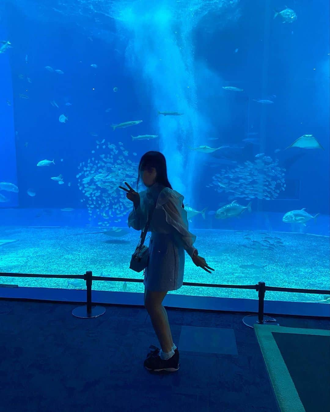 蒼井湊さんのインスタグラム写真 - (蒼井湊Instagram)「ㅤㅤㅤㅤㅤㅤㅤㅤㅤㅤㅤㅤㅤㅤㅤㅤㅤㅤㅤㅤㅤㅤㅤㅤ  美 ら 海 水 族 館 🐬 ㅤㅤㅤㅤㅤㅤㅤㅤㅤㅤㅤㅤㅤ #アイドル #あいどる  #あおみな #あおみにゃ#蒼井湊 #名古屋  #おーえすけー  #青色担当 #jk #沖縄 #美ら海水族館 #水族館」11月4日 21時40分 - osu_aomina