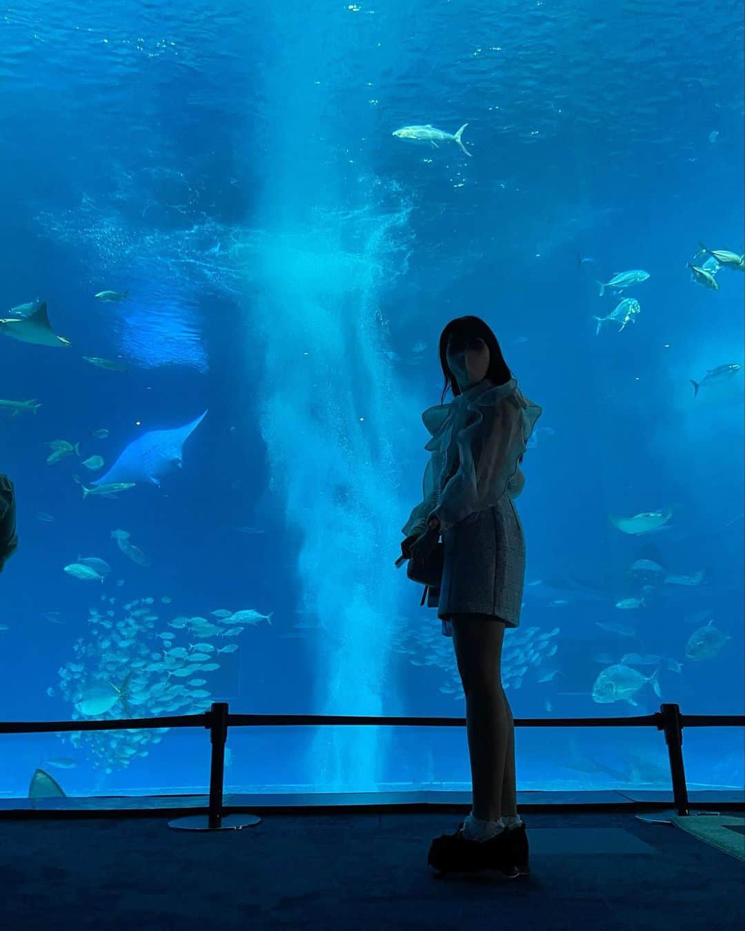 蒼井湊のインスタグラム：「ㅤㅤㅤㅤㅤㅤㅤㅤㅤㅤㅤㅤㅤㅤㅤㅤㅤㅤㅤㅤㅤㅤㅤㅤ  美 ら 海 水 族 館 🐬 ㅤㅤㅤㅤㅤㅤㅤㅤㅤㅤㅤㅤㅤ #アイドル #あいどる  #あおみな #あおみにゃ#蒼井湊 #名古屋  #おーえすけー  #青色担当 #jk #沖縄 #美ら海水族館 #水族館」