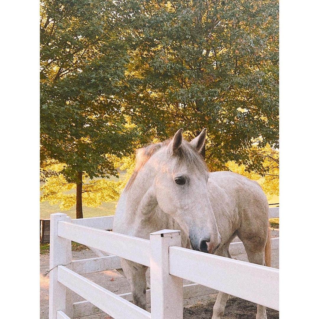 紗栄子のグルメインスタ