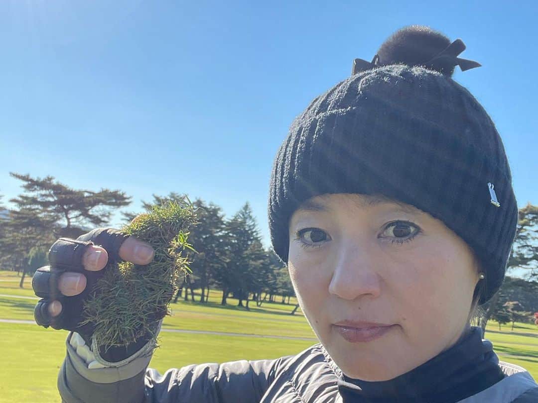 橋本志穂さんのインスタグラム写真 - (橋本志穂Instagram)「ゴルフ場でのマナーの話です。 先日、軽井沢72を回ったのですが、 本当、酷い‼️ セルフが多いからか、、、ターフとって芝生ごっそり剥いでも 多くの人たちがそのまんま。。🥲 芝生さんたちが悲しんでました。😮‍💨 とにかく、ゴム草履みたいな芝を戻して回った。見つけたら戻してー。芝生は剥がしてすぐ戻せば 生きてくれます。 2時間経ったら危うい。 1日の終わりにコース管理の人が治してくれるかもしれませんが、目土して剥がれた芝生はポイかもしれません。 私、いつも一生懸命治して回ってるんで、 最近いいスコアが出る気がします。 トラブルショットが少ないから 余裕持って芝生を戻してあげながらラウンドできるのもありますが、ゴルフの神様、絶対見てると思う！ 植物も動物も、 大切に生きてたら 自分に絶対、いいことがかえってくると〜。見返り期待はしてないけど、 そうやって生きてたら とっても穏やかな気持ちになれるし、、楽なのです。 お願い❣️ゴルファーの皆さん 芝生は大切に〜。  #ゴルフマナー」11月5日 10時59分 - shihohashimoto3