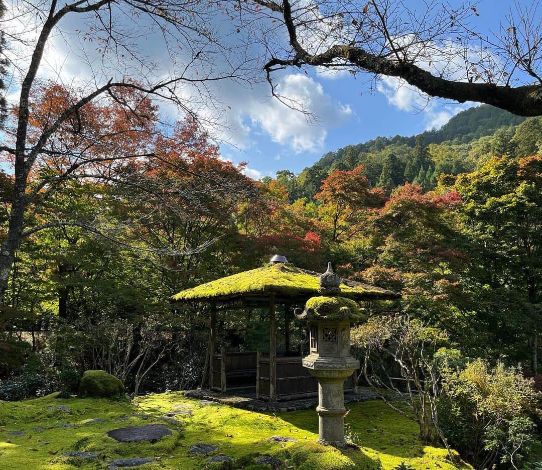 水原恵理のインスタグラム：「🍁備忘録🍁 ①②白龍園 ③④高台寺 ⑤東福寺 ⑥智積院  #白龍園#高台寺#東福寺#智積院 #京都紅葉」