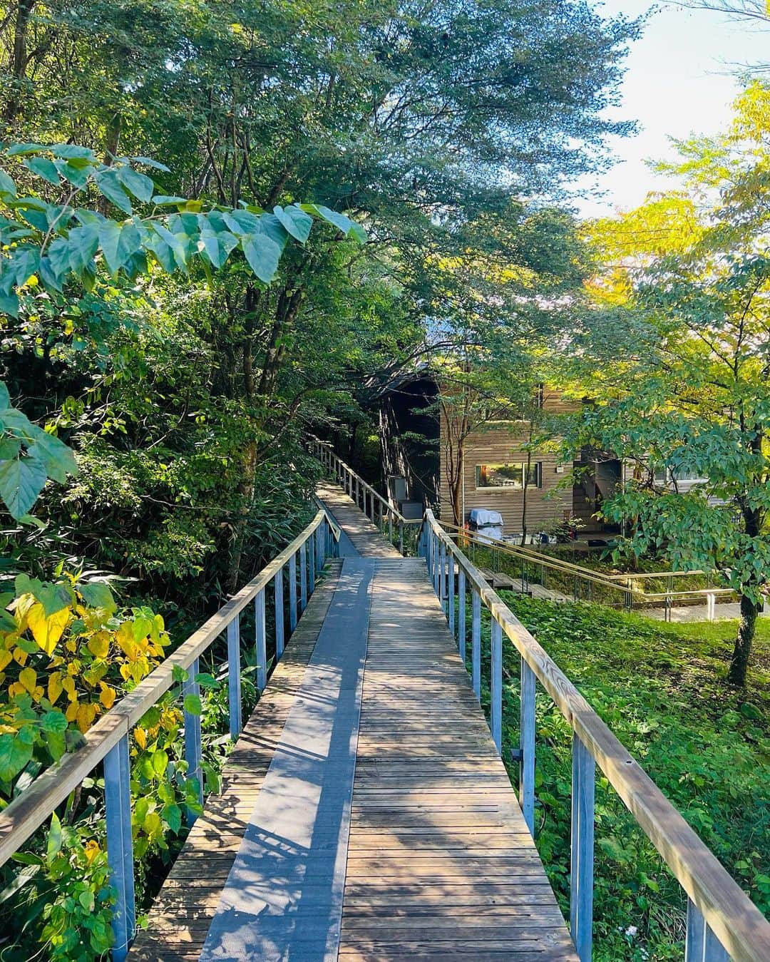 のインスタグラム：「良い季節ですねー🍃🍁 出張帰りに、ふらり1人温泉♨️  #1人温泉#温泉#リトリート#onsen#retreat#hakone」