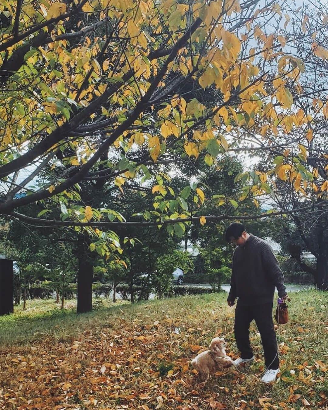 小塚源太さんのインスタグラム写真 - (小塚源太Instagram)「CINOHのニット デビューシーズンからずっと 思いきりクオリティコンシャスな アイテムをリリースしていて ニット好きにはたまらないわけで」11月5日 16時07分 - untlim