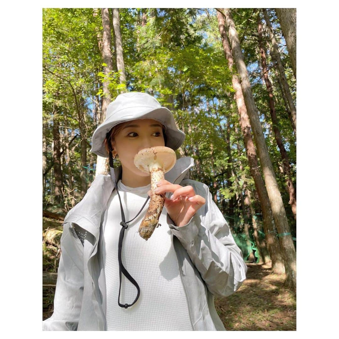 龍真咲のインスタグラム：「松茸狩🍄 今年は色んな狩をしていますっ  早朝集合して山に。山に人間の匂いを残さないよう服の柔軟剤をはじめ、ヘアオイルやコロンなどはNG🫡 山の主にご挨拶をしてから山登り⛰ 神聖なお山での松茸狩はまるで宝探しみたいでした😊✨ そして自分で収穫したものは何でも美味しい😋 収穫の仕方、保存の仕方、調理の仕方、勉強になりました！  #日本の秋 #松茸狩り  #松茸ご飯  #松茸すき焼き  #松茸づくし 🍄  来年も連れてってください🙏  🥰🥰🥰  ってか全部食べてるか 掘ってるか 匂ってるかの 写真しかなかったぞ💦💦💦💦」