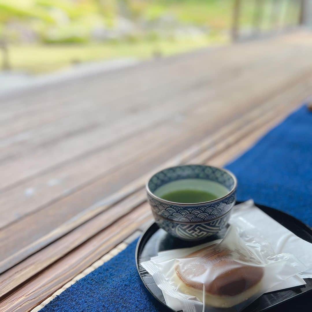 Mameのインスタグラム：「#無鄰庵 #無鄰庵カフェ #京都カフェ」