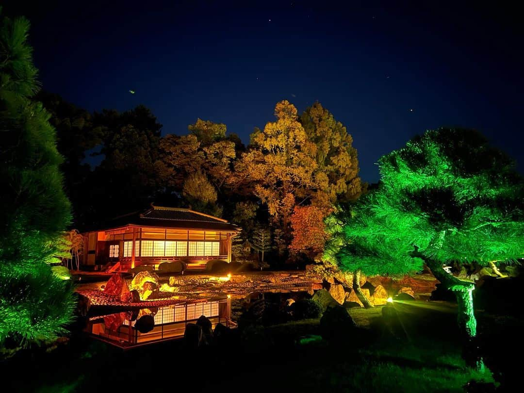 Mameのインスタグラム：「🌸 . #京都 #二条城 #世界遺産 #onekyoto #nakedinc」