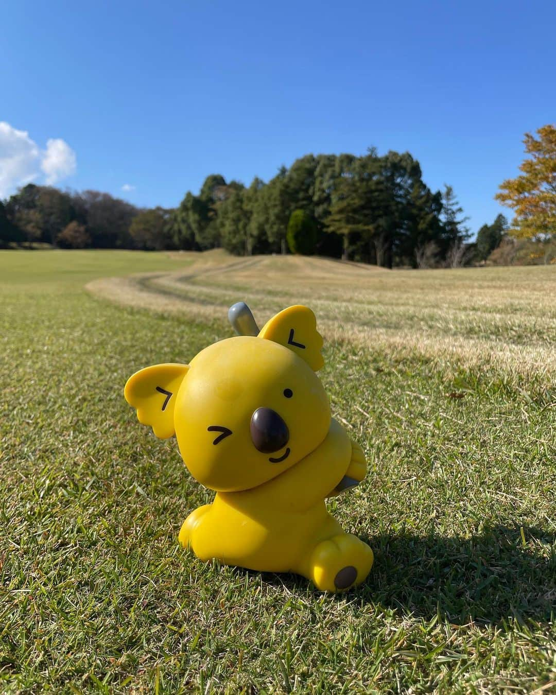 坂元美香さんのインスタグラム写真 - (坂元美香Instagram)「この前のゴルフ⛳️ ３か月ぶりでした。  この時期のゴルフは本当最高だね！😙 青い空と雲の流れと紅葉と 秋の景色に癒されすごくリフレッシュできました🌿  ロッテ皆吉台はランチが美味しいので それも楽しみの一つなのです。 （まだ禁断の雪見トーストだけは 食べたことない。笑）  今回はお散歩&練習感覚で行ったので スコアはつけずに回ったのだけど そんなに悪くなかった。  そういえば結局今年は一度も練習しなかった🤣 相変わらずゴルフ熱はぜんぜんなくて 熱が上がることもないので ときどき行く程度で満足です😅  あ、この前「今日の失敗集」を ストーリーで流したら 過去イチいいね♡が付きました🤣 シリーズ化しようかしら…  #ロッテ皆吉台カントリー倶楽部  #坂元ゴルフ日記 #ゴルフ #ゴルフ女子  #大人ゴルフ女子 #黄色星人」11月5日 18時02分 - mika_saka