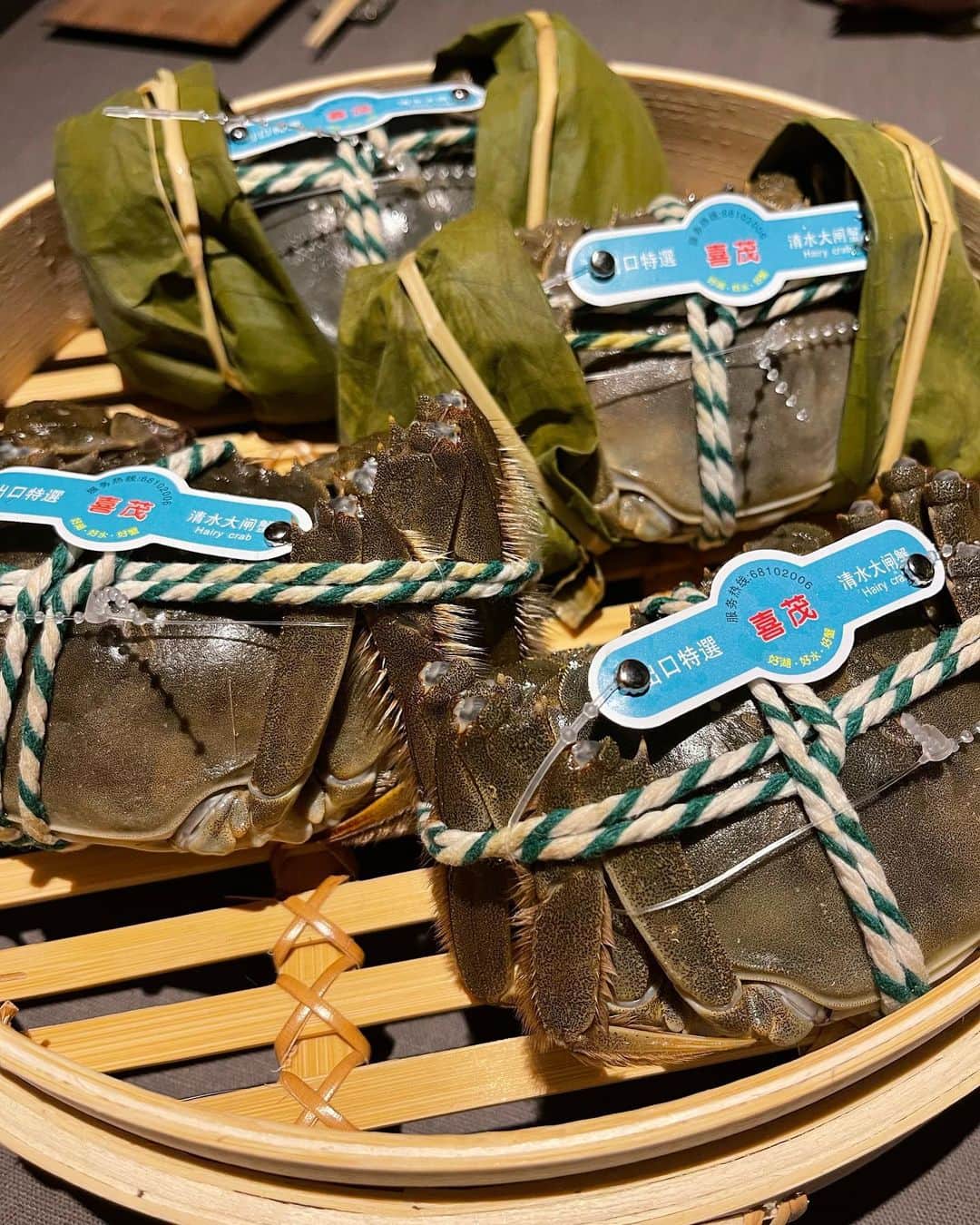 和泉佳子さんのインスタグラム写真 - (和泉佳子Instagram)「季節ごとにおじゃましている、ミシュラン3つ星チャイニーズ「茶禅華」さん✨  一年の中でも、最も楽しみなのが、上海蟹🦀の季節です💕  昨年、茶禅華さんでいただいた上海蟹🦀の衝撃的な美味しさが忘れられないまま、今年もこの季節を迎えました☺️  今年も、幸運な事に、茶禅華さんで上海蟹🦀のコースをいただける幸せをしみじみ感じながら、堪能させていただきました🥰  特に、上海蟹🦀たっぷりのリゾットに、香り高い白トリュフをすりおろしていただいた一皿の美味しさが忘れられません😆💕💕  あ〜、本当に口福でした🙏💕  来年また、この口福を味わえますように😌✨  @sazenka   #和泉佳子　#茶禅華  #上海蟹　#白トリュフ　#ミシュラン三ツ星  #口福」11月5日 18時29分 - yoshiko_izumi