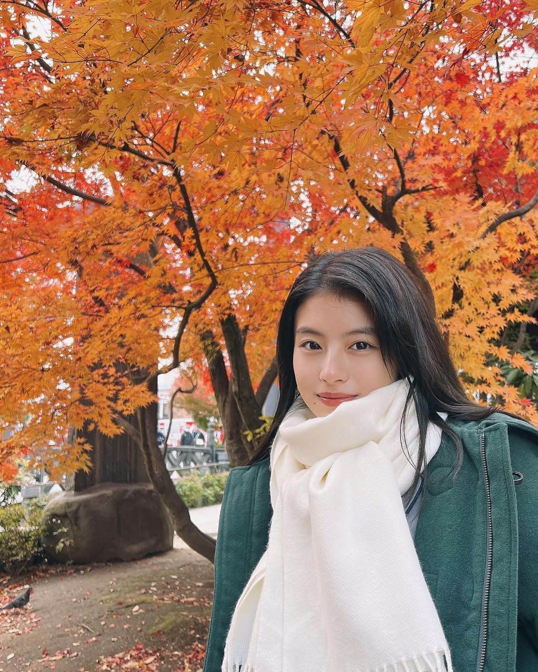 出口夏希のインスタグラム：「松本の紅葉と松本城🍁  寒いけど景色がすごい綺麗です  来週もお楽しみに！ まだまだつづくー！  #クレッシェンドで進め」