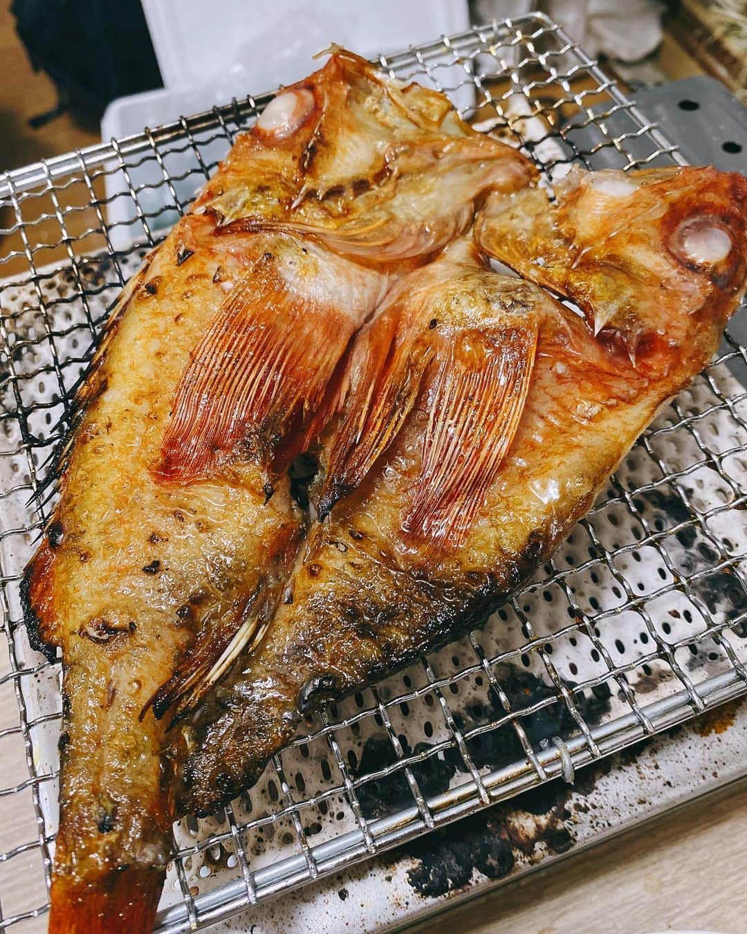小坂田純奈さんのインスタグラム写真 - (小坂田純奈Instagram)「地元の魚でおうち炉端❤️‍🔥 家でできるの最高すぎた🫶🏻  地元の釧路名物炉端焼きセット経験してみたんだけど、全部の魚がぷりっぷりで脂乗っててもう最高すぎ、、  地元の炉端焼き屋の明松( @robatayaki_akematsu )さんが、いまクラウドファンディングサイトMakuakeで販売してるから、まじでおすすめ！！❤️‍🔥  家でも良いし外でも絶対最高！  #炉端焼き #炉端焼き #お酒好き #お酒好き女子 #酒好き女子 #酒好き #道産子 #釧路グルメ」11月5日 21時47分 - official_junata