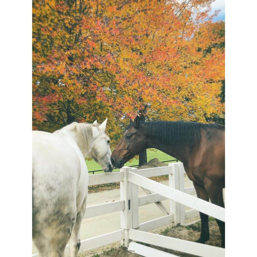紗栄子のグルメインスタ