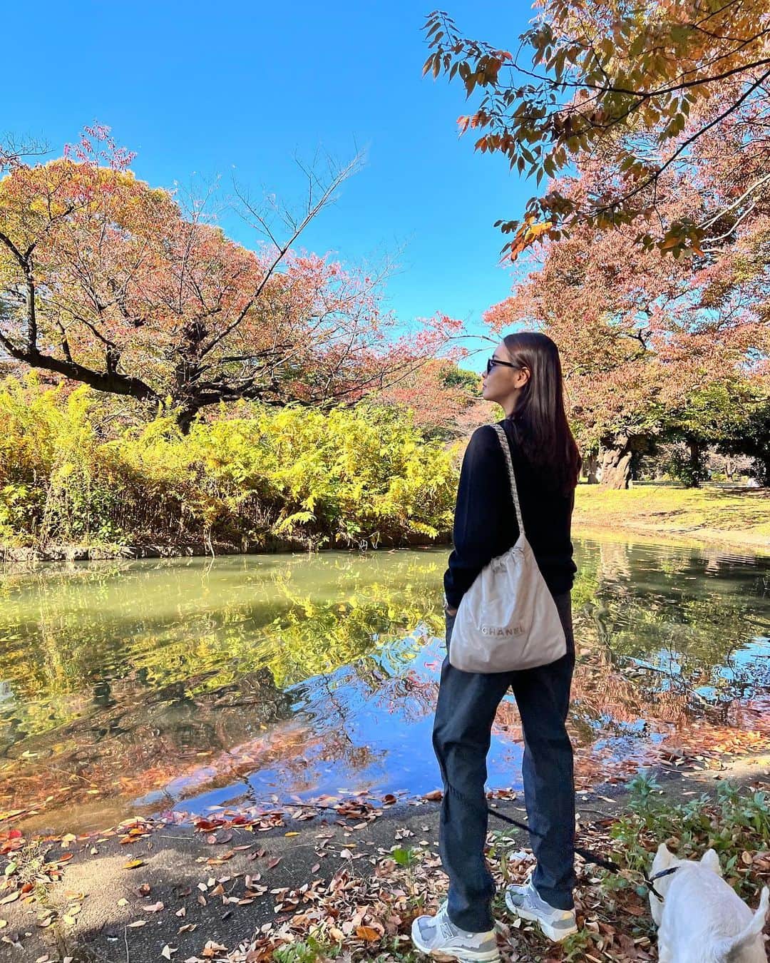滝沢眞規子さんのインスタグラム写真 - (滝沢眞規子Instagram)「🍁ユニクロな週末🍂 今日ら黒の３Ｄカシミアに、グレーのヒートテックタックパンツ。中のTシャツもユニクロです。 今日は空と葉っぱのコントラストが綺麗です🍂🍁🍂 #ユニクロ」11月6日 14時00分 - makikotakizawa