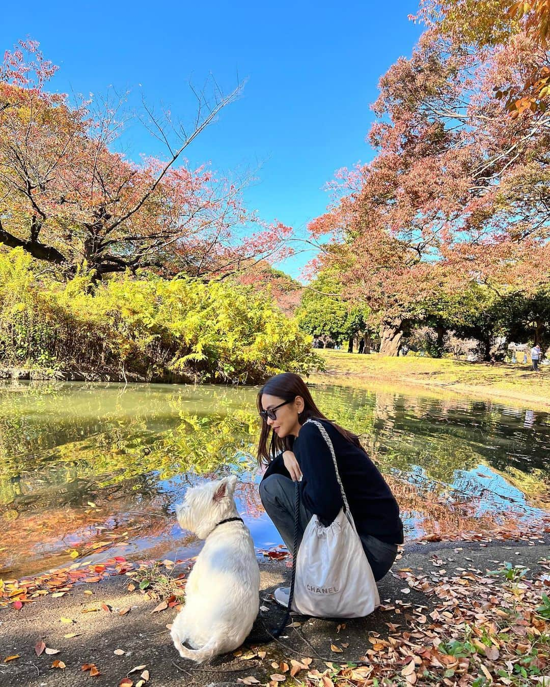 滝沢眞規子さんのインスタグラム写真 - (滝沢眞規子Instagram)「🍁ユニクロな週末🍂 今日ら黒の３Ｄカシミアに、グレーのヒートテックタックパンツ。中のTシャツもユニクロです。 今日は空と葉っぱのコントラストが綺麗です🍂🍁🍂 #ユニクロ」11月6日 14時00分 - makikotakizawa