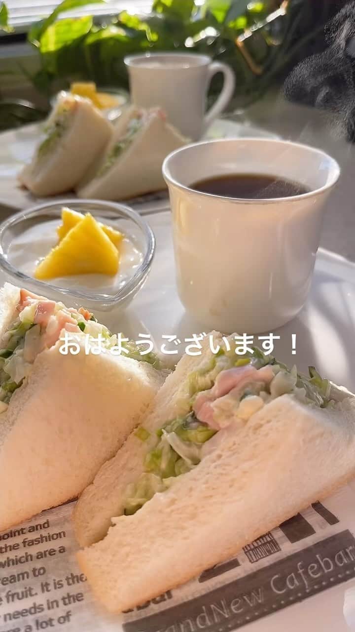 のインスタグラム：「名古屋20℃☀️ おはようございます！ 今朝は気持ちのいい秋晴れ。 朝から日差しが降り注いでいます。 休日お天気がいいとなんか嬉しいですよね🍁🍁 よい休日をお過ごしください😊❤️ #おはようございます #モーニング#朝食 #goodmorning #breakfast  #akitainu #dogsofinstagram  #秋田犬#秋田犬マグ#おはようマグ #コールスローサンド #フルーツヨーグルト #ホットコーヒー#カフェオレ#珈琲 #水谷雅子#水谷雅子beautybook50の私 #水谷雅子の美容の秘訣シリーズ」