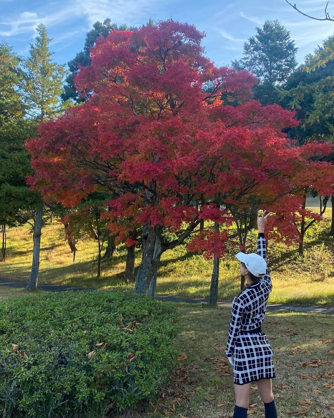 相川友希のインスタグラム：「紅葉ゴルフ🍁 秋が来たと思ったら朝はもうすっごく寒くて吐く息が白かったよ！冬が来たのかな🥰 冬は街中のクリスマスツリーを見つけるのが楽しみ❤️ #今年はいくつ見れるかな　#ツリー　#🎄　#紅葉　#木　#ゴルフ　#紅葉ゴルフ　#秋ゴルフ　#冬ゴルフ　#楽しい時　#女子対男子　#ゴルフウェア 全身♡ @michiko_london_golf」