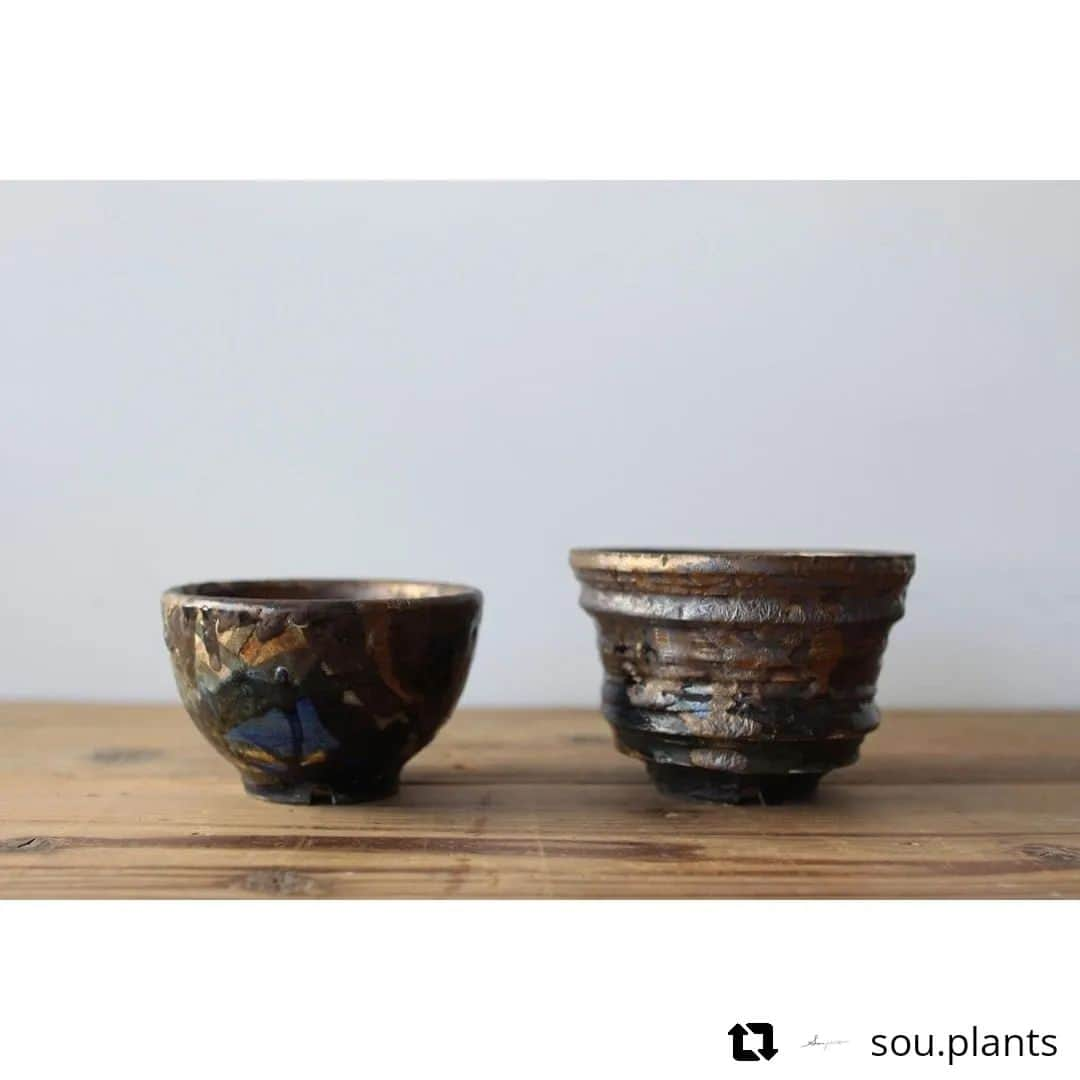 伊藤 慎さんのインスタグラム写真 - (伊藤 慎Instagram)「祝3周年の @sou.plants さん。気持ばかりの数点ですが、納品させてもらってます。 . . . . . . #兵庫  #伊藤慎 #陶瓷 #陶芸 #うつわ #器好き #陶芸家 #pottery #potter #ceramic #ceramicart #神戸 #明石 #土物 #植木鉢 #根塊植物」11月6日 16時28分 - shinito.pottery