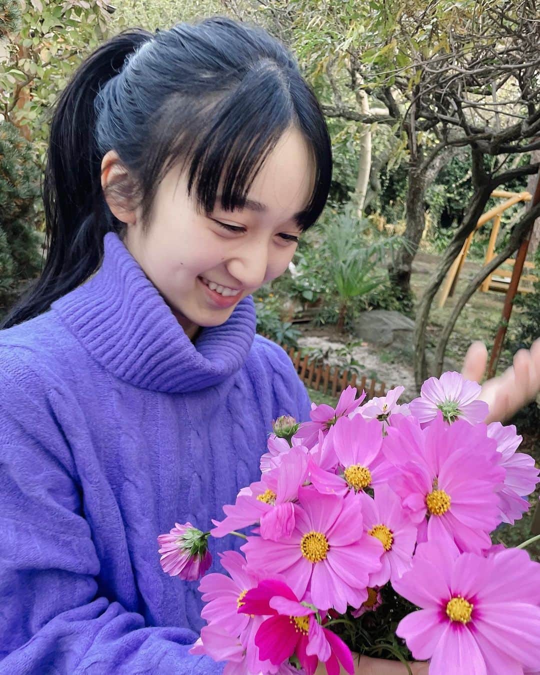 横溝菜帆のインスタグラム：「.  伯母が育てたコスモスをいただきました🌼  とても綺麗な色に癒されます☺️🌼  秋の澄んだ空に かわいいピンクの 素敵な写真が撮れました  #横溝菜帆」