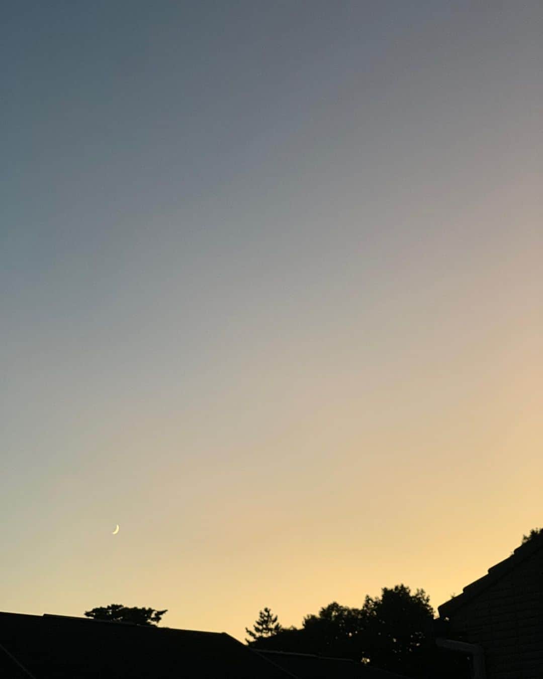細沼紗花のインスタグラム：「空がとても綺麗だった日🌙」