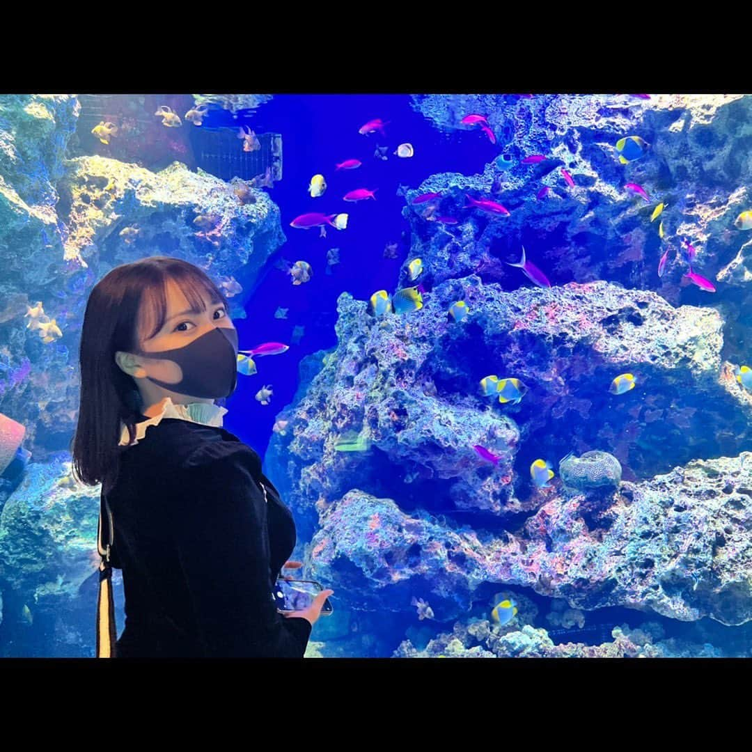 西澤瑠莉奈のインスタグラム：「#品川アクアパーク 🐠🐬」