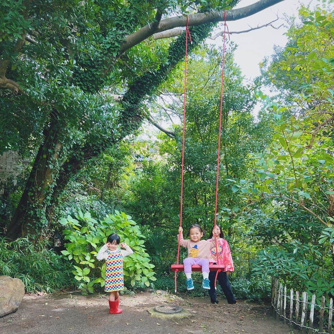 石野千尋さんのインスタグラム写真 - (石野千尋Instagram)「Dream garden @studio_ogawasanchi 🌲  大好きな小川家に遊びに行ってきました🏡  裸足で芝生の上を駆け回り、突然寝転んで青い空を眺めながら目を瞑るむすめ。気持ちいいこと、知ってるんだね。 木のブランコがあるお庭、最高！また行きたい！と何度も言っていました。  赤ちゃんズはチクチクを少し嫌がってはいたものの、最終的にはハイハイしてかなり楽しんでたのも良い経験！  数年前、雑誌連載の撮影を担当していた頃はまだまだ小さかった @studio_ogawasanchi のキッズたち。もうすっかりティーンになり、子どもの面倒を見るのが本当に上手で優しくて🤭おばちゃんは感動です。ありがとう♡  そしていつも温かく迎えてくれる小川ファミリー、大好きです❤️  #garden #photographer #holiday #kids #studioogawasanchi #🌲」11月7日 11時16分 - chihiroishino