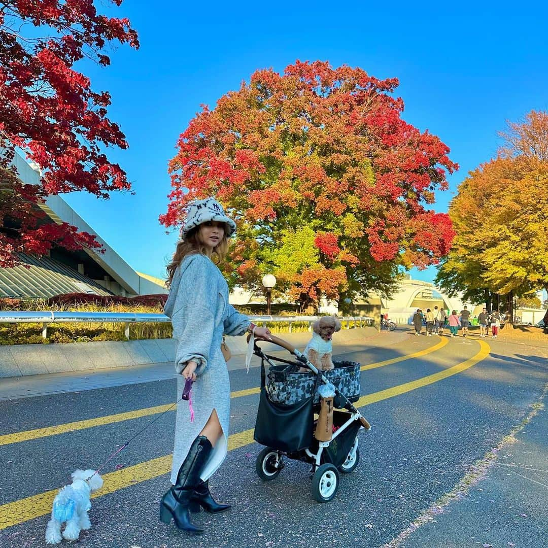 ゆきぽよさんのインスタグラム写真 - (ゆきぽよInstagram)「iPhone14proデビュー❤️  たぶんカメラすごい！！紅葉🍁 秋はお散歩が気持ちぃぃぃぃ🐩❤︎」11月7日 14時25分 - poyo_ngy