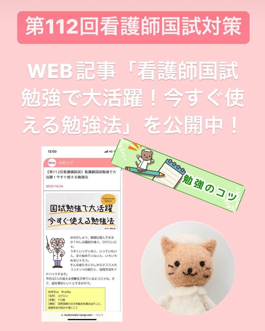 ネコナースのインスタグラム