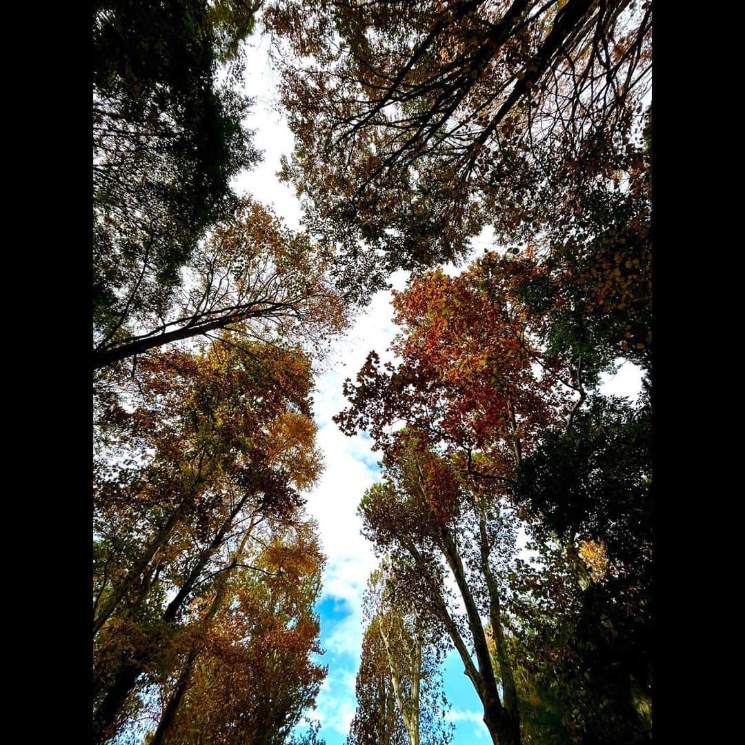 木村拓哉さんのインスタグラム写真 - (木村拓哉Instagram)「⁡ ⁡ ⁡ 「昨日の余韻に浸りながら、少し車で出て子供の頃遊んでいた公園まで❕ そこで約7000歩。 気持ち良かったぁ〜❕」 ⁡ PEACE‼︎ ⁡ STAYSAFE! ⁡ 拓哉 #木村拓哉 #TakuyaKimura」11月7日 14時52分 - takuya.kimura_tak