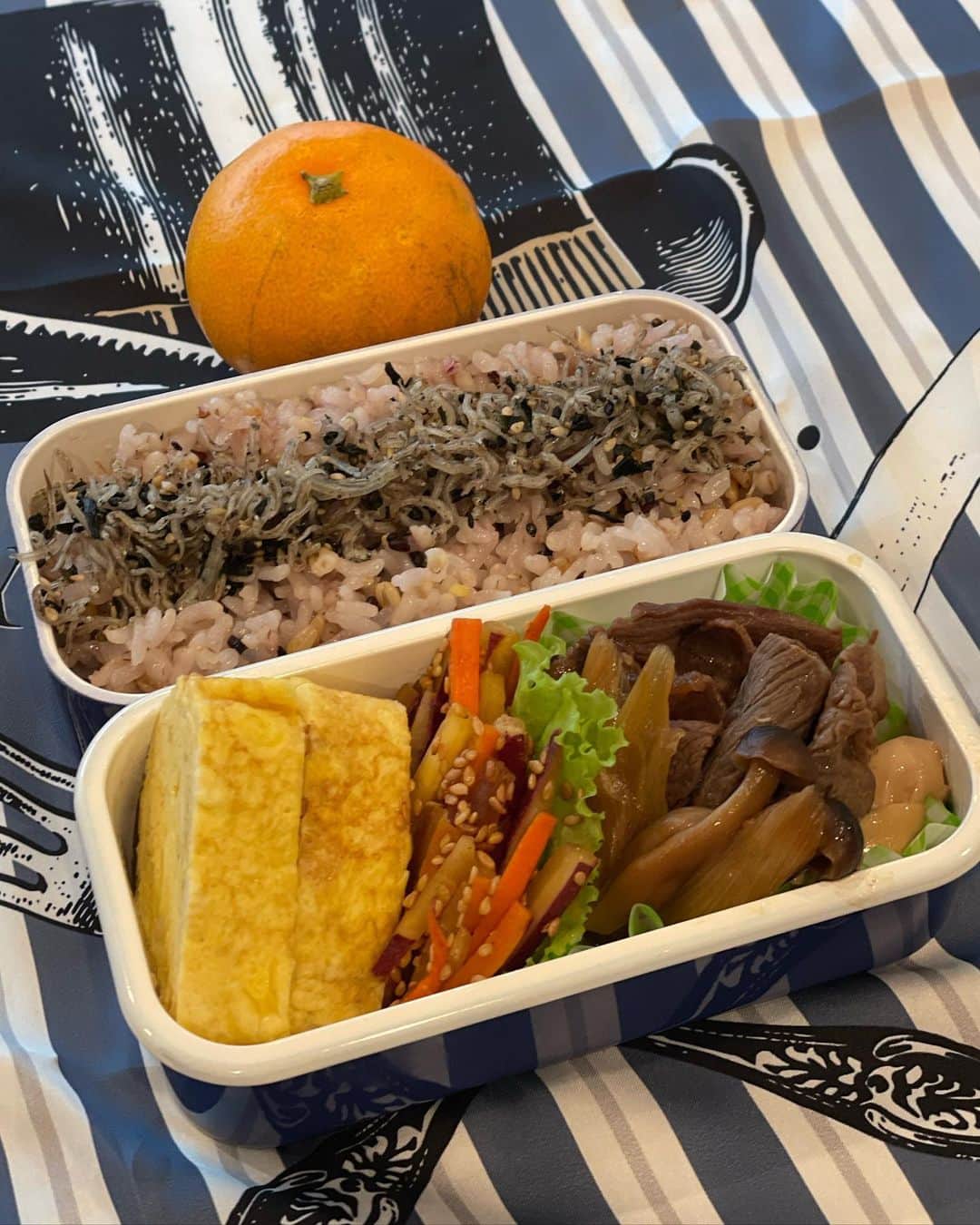 山口もえのインスタグラム：「・  え？！デジャブー？！？ ってくらい毎日代わり映えのないお弁当🍱笑 残さず食べてきてくれるから良しとしてね♡♡♡  #弁当#おべんとう記録  #🍱#小さなお弁当箱  #いつもほぼ同じ #どこが変わってるかわかるかな❓笑」