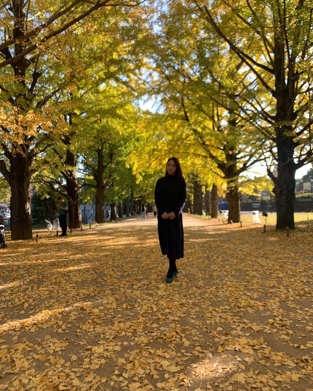 田中悦子さんのインスタグラム写真 - (田中悦子Instagram)「気持ちいいウォーキングでした🍁🍁🍁  かたらいのイチョウ並木 来てみたかった場所…  あと1週間ほどで真っ黄色になるそうですよ❣️  まだ続く…  #国営昭和記念公園  #イチョウ並木 #6キロくらい歩いたかな」11月7日 16時50分 - etsuko.reborn25