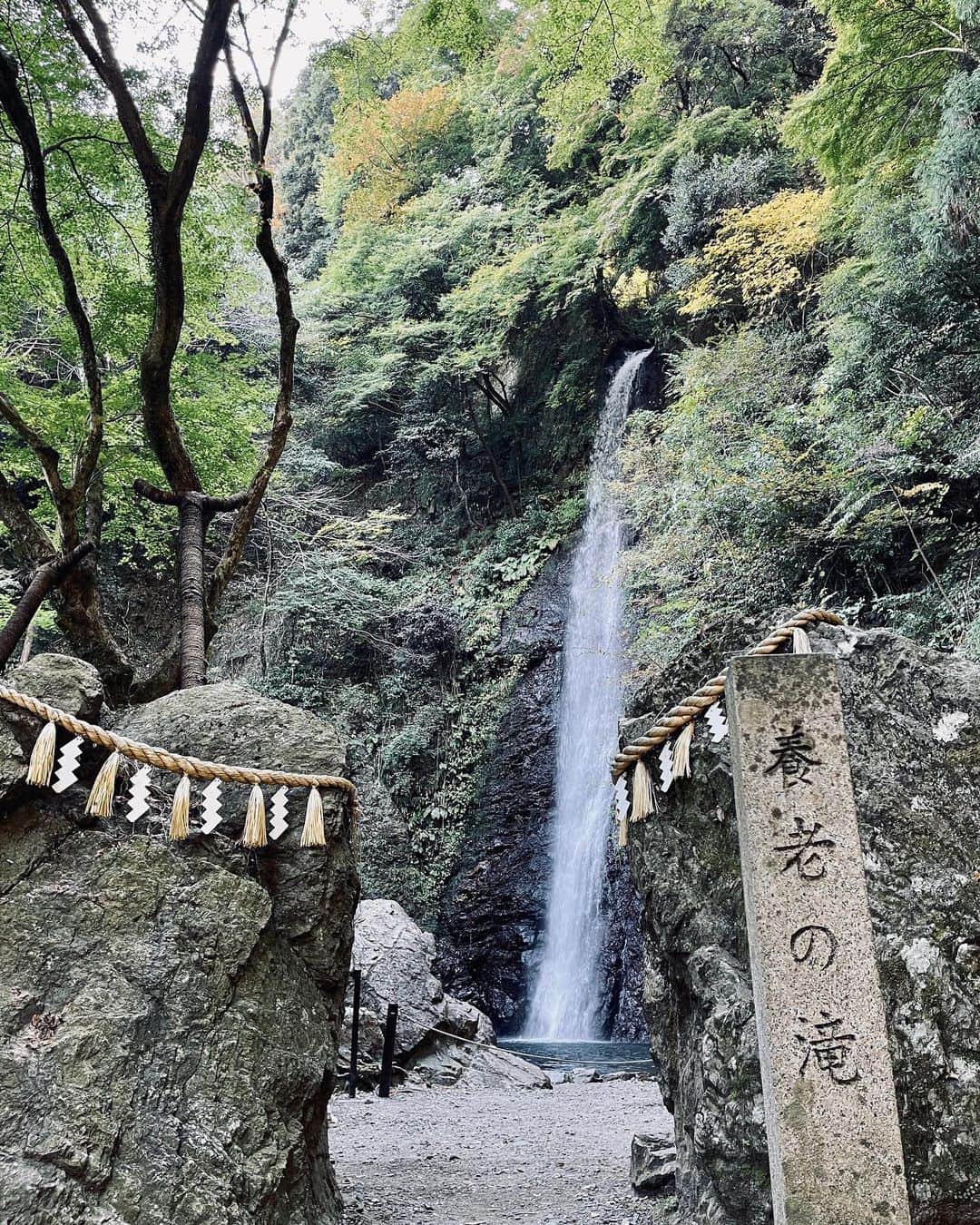 兒玉遥さんのインスタグラム写真 - (兒玉遥Instagram)「岐阜県養老の滝へ行ってきました！  「老いを養う」と記録に残されているおり、当時から若返りに効果のあるパワースポットとみなされてきたそうです！  自然のパワーをチャージできて元気出ました🔋⚡️  さて、年末まで駆け抜けますよ〜💨」11月7日 17時29分 - haruka_kodama919