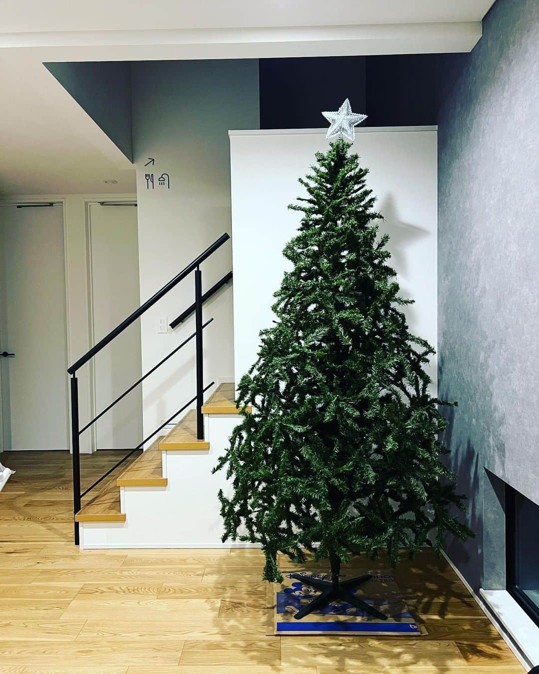 佐々木彰生のインスタグラム：「帰宅したら、クリスマスツリーが出てた！ 水曜日は飾り付けだな〜  #クリスマス  #クリスマスツリー」