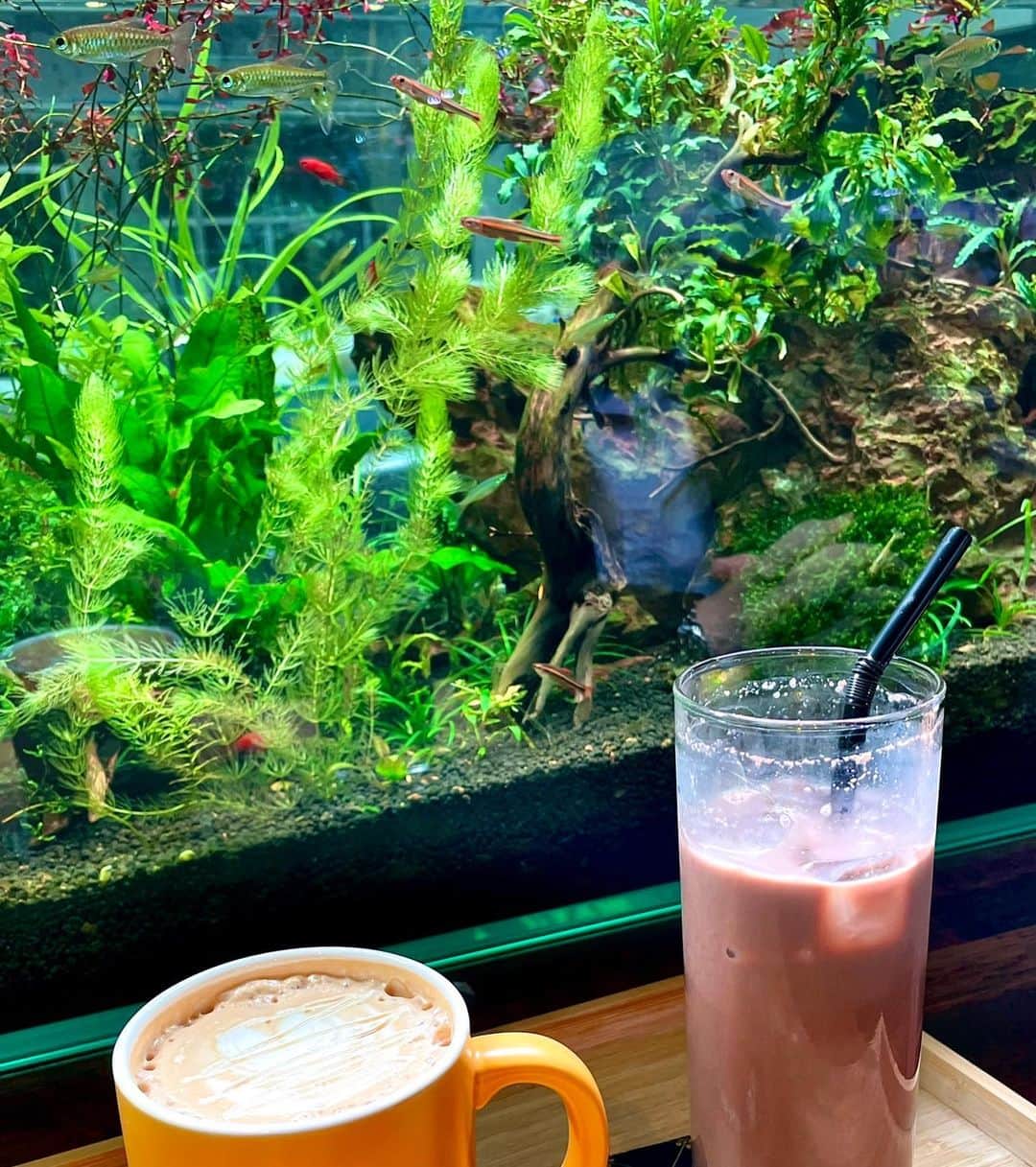 パク・ミンジさんのインスタグラム写真 - (パク・ミンジInstagram)「주말 지나니 반짝 안 추워서 또똣한 니트에 짧치!  이런 차림도 슬슬 마지막일듯..ㅎㅎ 🥲🍁  #빅웨이브컬렉티브 @bigwave_collective」11月7日 19時57分 - kannamingoo