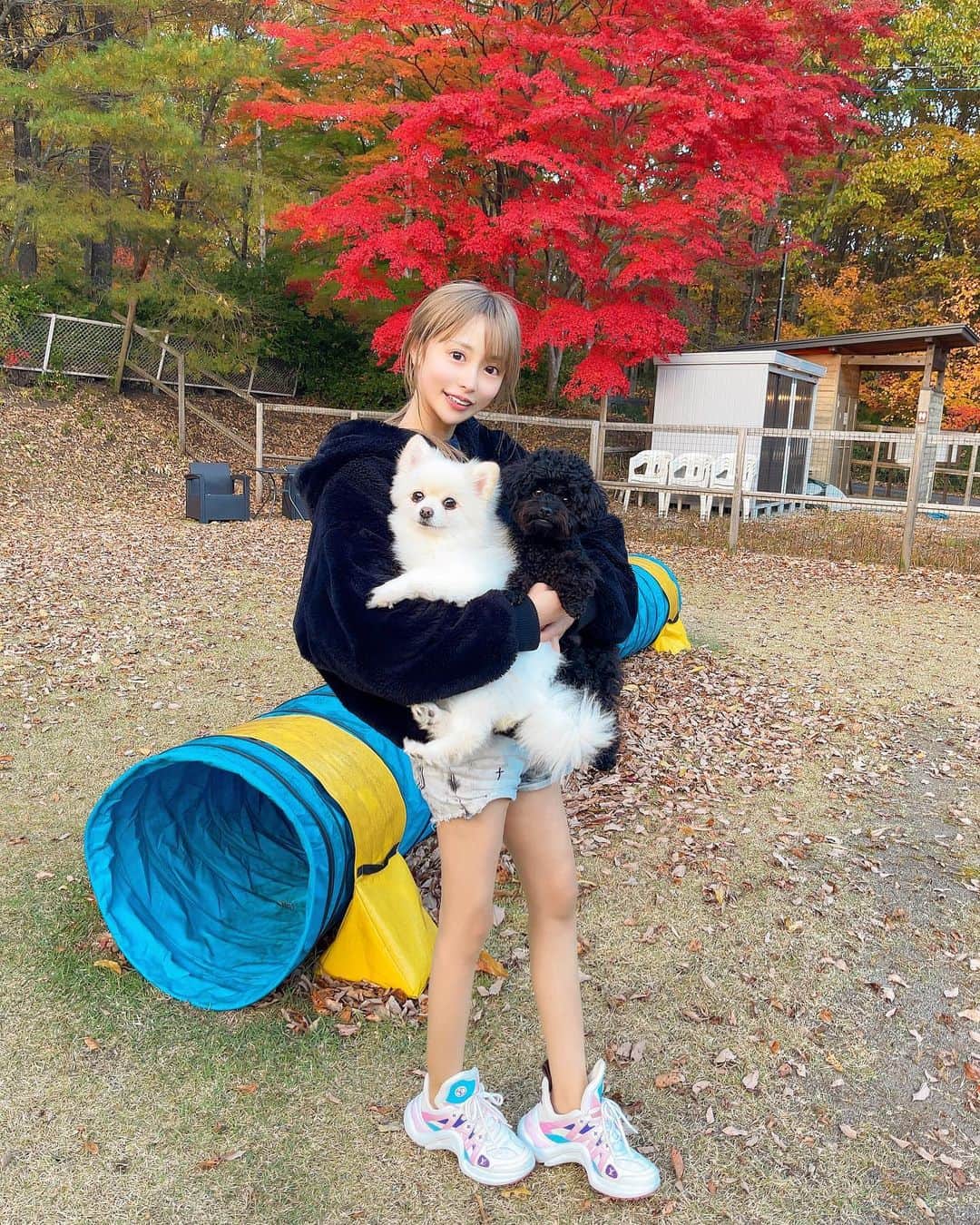 黒宮ちはやのインスタグラム：「紅葉が真っ赤🍁🍄🌰  母と弟とちょいと遠くまで ドッグラン行ってきた🐶  運転私がしたんだけど怖かった😭ww   #黒宮ちはや #小悪魔ageha #モデル #キャバクラ #キャバ嬢 #ホステス #ラウンジ #水商売 #お酒 #歌舞伎町 #新宿 #六本木 #銀座 #北新地 #ミナミ #渋谷 #すすきの #シャンパン #華灯 #ディアレスト #ドッグラン」